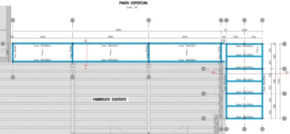 003001 pianta della copertura
